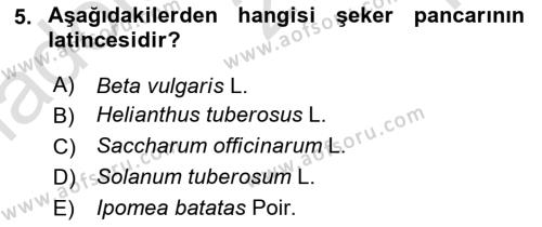 Tarla Bitkileri 2 Dersi 2023 - 2024 Yılı Yaz Okulu Sınavı 5. Soru