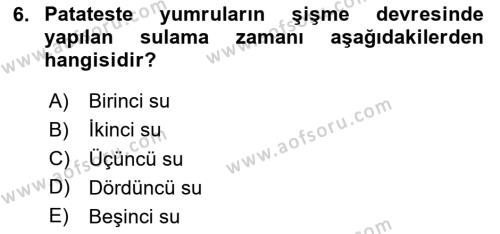 Tarla Bitkileri 2 Dersi 2023 - 2024 Yılı Yaz Okulu Sınavı 6. Soru