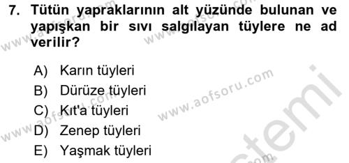 Tarla Bitkileri 2 Dersi 2023 - 2024 Yılı Yaz Okulu Sınavı 7. Soru