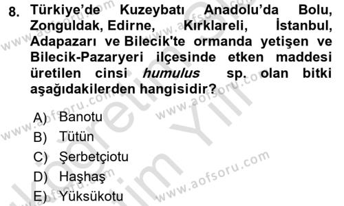 Tarla Bitkileri 2 Dersi 2023 - 2024 Yılı Yaz Okulu Sınavı 8. Soru