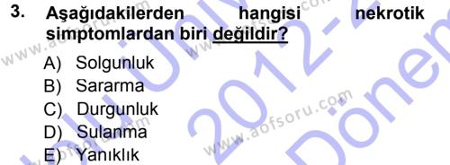 Fitopatoloji Dersi 2012 - 2013 Yılı (Final) Dönem Sonu Sınavı 3. Soru