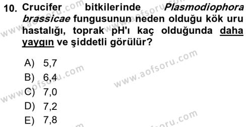 Fitopatoloji Dersi 2017 - 2018 Yılı (Vize) Ara Sınavı 10. Soru