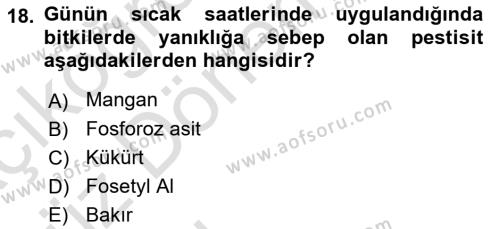 Fitopatoloji Dersi 2017 - 2018 Yılı (Vize) Ara Sınavı 18. Soru