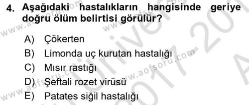 Fitopatoloji Dersi 2017 - 2018 Yılı (Vize) Ara Sınavı 4. Soru