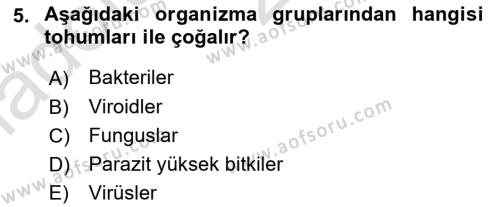 Fitopatoloji Dersi 2017 - 2018 Yılı (Vize) Ara Sınavı 5. Soru