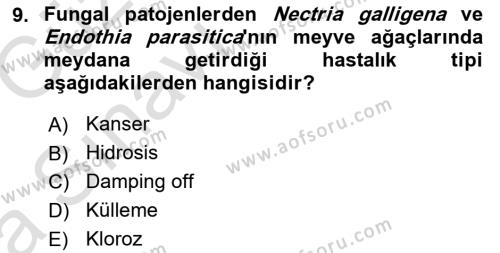 Fitopatoloji Dersi 2017 - 2018 Yılı (Vize) Ara Sınavı 9. Soru