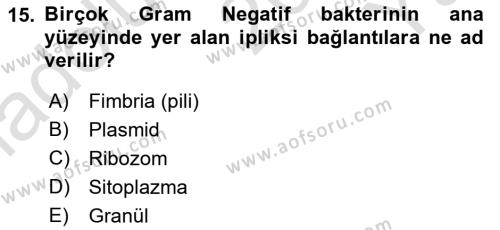 Fitopatoloji Dersi 2020 - 2021 Yılı Yaz Okulu Sınavı 15. Soru