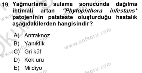 Fitopatoloji Dersi 2020 - 2021 Yılı Yaz Okulu Sınavı 19. Soru