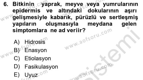 Fitopatoloji Dersi 2020 - 2021 Yılı Yaz Okulu Sınavı 6. Soru