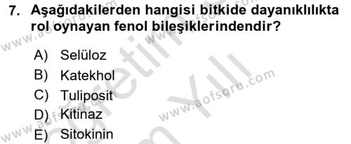 Fitopatoloji Dersi 2020 - 2021 Yılı Yaz Okulu Sınavı 7. Soru