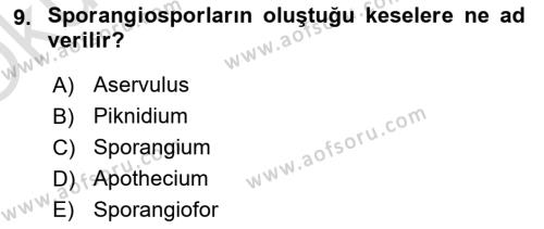 Fitopatoloji Dersi 2020 - 2021 Yılı Yaz Okulu Sınavı 9. Soru