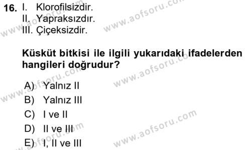 Fitopatoloji Dersi 2021 - 2022 Yılı (Final) Dönem Sonu Sınavı 16. Soru