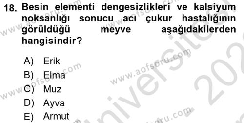 Fitopatoloji Dersi 2021 - 2022 Yılı (Final) Dönem Sonu Sınavı 18. Soru