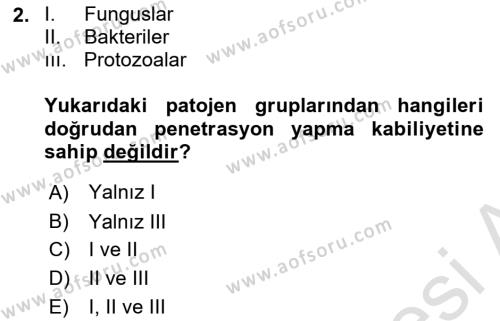 Fitopatoloji Dersi 2021 - 2022 Yılı (Final) Dönem Sonu Sınavı 2. Soru