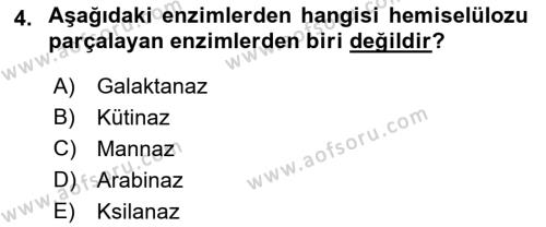 Fitopatoloji Dersi 2021 - 2022 Yılı (Final) Dönem Sonu Sınavı 4. Soru