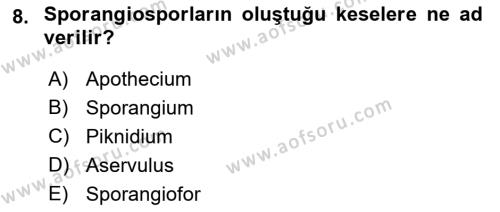 Fitopatoloji Dersi 2021 - 2022 Yılı (Final) Dönem Sonu Sınavı 8. Soru