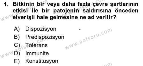 Fitopatoloji Dersi 2021 - 2022 Yılı Yaz Okulu Sınavı 1. Soru