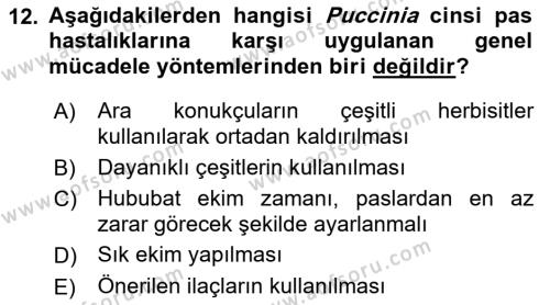 Fitopatoloji Dersi 2021 - 2022 Yılı Yaz Okulu Sınavı 12. Soru