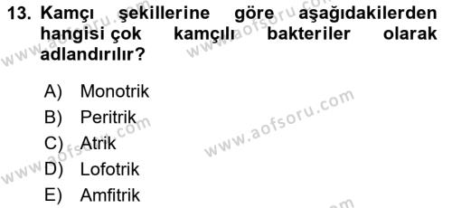 Fitopatoloji Dersi 2021 - 2022 Yılı Yaz Okulu Sınavı 13. Soru