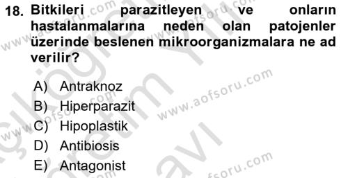 Fitopatoloji Dersi 2021 - 2022 Yılı Yaz Okulu Sınavı 18. Soru