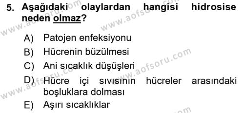 Fitopatoloji Dersi 2021 - 2022 Yılı Yaz Okulu Sınavı 5. Soru