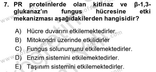 Fitopatoloji Dersi 2021 - 2022 Yılı Yaz Okulu Sınavı 7. Soru