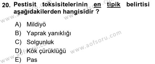Fitopatoloji Dersi 2022 - 2023 Yılı (Vize) Ara Sınavı 20. Soru