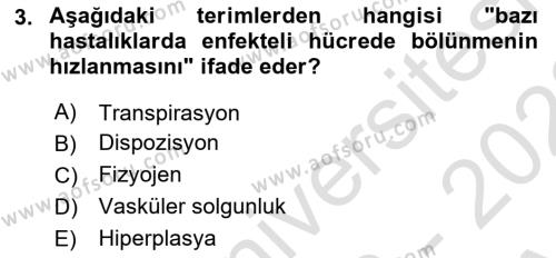 Fitopatoloji Dersi 2022 - 2023 Yılı (Vize) Ara Sınavı 3. Soru