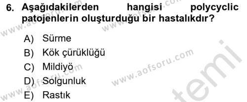 Fitopatoloji Dersi 2022 - 2023 Yılı (Vize) Ara Sınavı 6. Soru