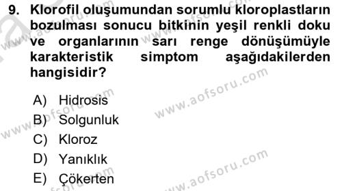 Fitopatoloji Dersi 2022 - 2023 Yılı (Vize) Ara Sınavı 9. Soru