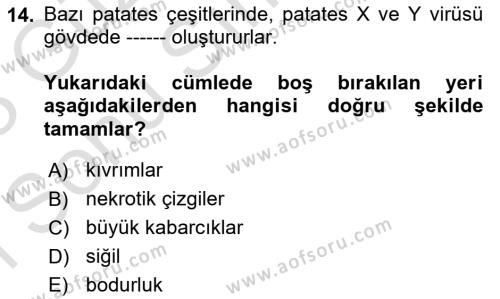 Fitopatoloji Dersi 2022 - 2023 Yılı (Final) Dönem Sonu Sınavı 14. Soru