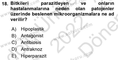 Fitopatoloji Dersi 2022 - 2023 Yılı (Final) Dönem Sonu Sınavı 18. Soru