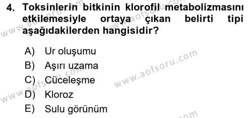 Fitopatoloji Dersi 2022 - 2023 Yılı (Final) Dönem Sonu Sınavı 4. Soru