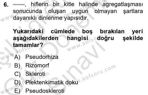 Fitopatoloji Dersi 2022 - 2023 Yılı (Final) Dönem Sonu Sınavı 6. Soru