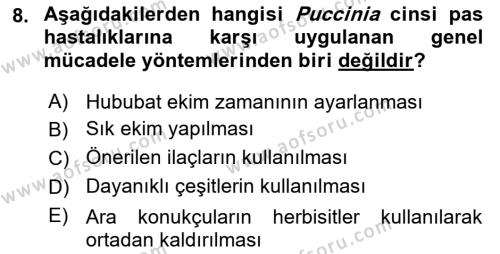 Fitopatoloji Dersi 2022 - 2023 Yılı (Final) Dönem Sonu Sınavı 8. Soru