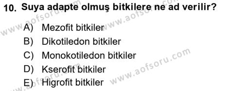 Fitopatoloji Dersi 2022 - 2023 Yılı Yaz Okulu Sınavı 10. Soru