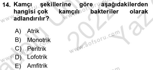 Fitopatoloji Dersi 2022 - 2023 Yılı Yaz Okulu Sınavı 14. Soru