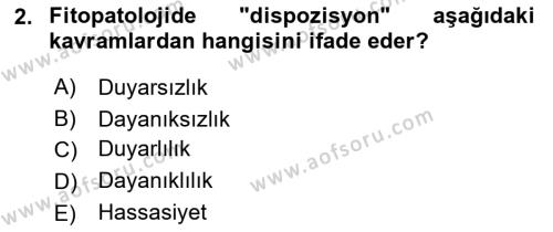 Fitopatoloji Dersi 2022 - 2023 Yılı Yaz Okulu Sınavı 2. Soru