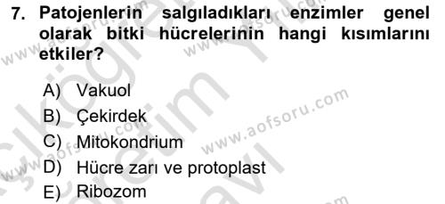 Fitopatoloji Dersi 2022 - 2023 Yılı Yaz Okulu Sınavı 7. Soru