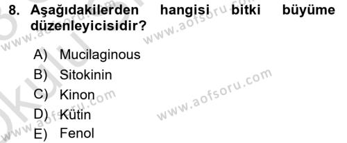 Fitopatoloji Dersi 2022 - 2023 Yılı Yaz Okulu Sınavı 8. Soru