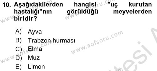 Fitopatoloji Dersi 2023 - 2024 Yılı (Vize) Ara Sınavı 10. Soru