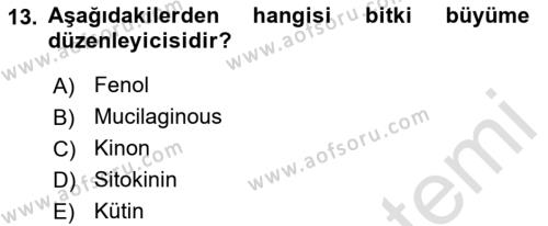 Fitopatoloji Dersi 2023 - 2024 Yılı (Vize) Ara Sınavı 13. Soru