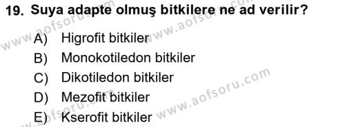 Fitopatoloji Dersi 2023 - 2024 Yılı (Vize) Ara Sınavı 19. Soru