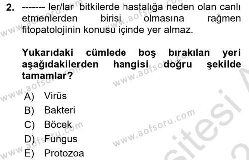 Fitopatoloji Dersi 2023 - 2024 Yılı (Vize) Ara Sınavı 2. Soru