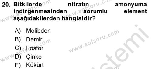 Fitopatoloji Dersi 2023 - 2024 Yılı (Vize) Ara Sınavı 20. Soru