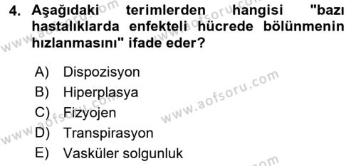 Fitopatoloji Dersi 2023 - 2024 Yılı (Vize) Ara Sınavı 4. Soru