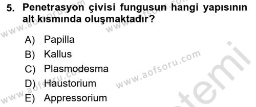 Fitopatoloji Dersi 2023 - 2024 Yılı (Vize) Ara Sınavı 5. Soru