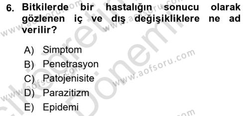 Fitopatoloji Dersi 2023 - 2024 Yılı (Vize) Ara Sınavı 6. Soru