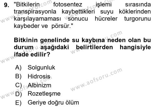Fitopatoloji Dersi 2023 - 2024 Yılı (Vize) Ara Sınavı 9. Soru