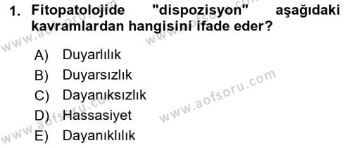 Fitopatoloji Dersi 2023 - 2024 Yılı (Final) Dönem Sonu Sınavı 1. Soru